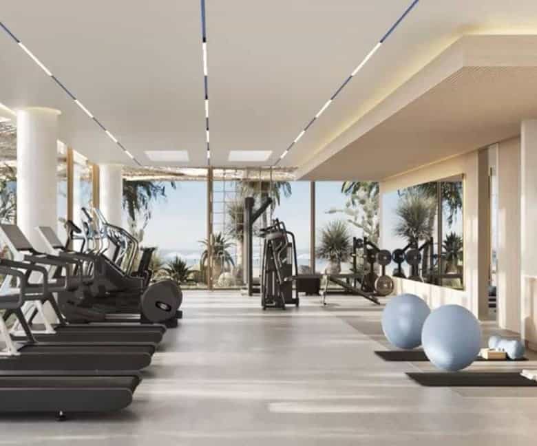 Modern gym with cardio and weight training equipment overlooking a scenic outdoor area with palm trees and ocean views.