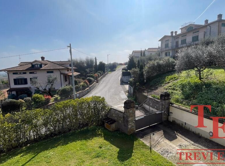 Sunny street view of houses with lush gardens.