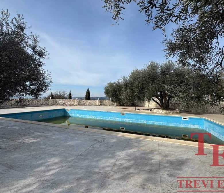 A deserted outdoor swimming pool surrounded by trees and a stone wall, offering a peaceful and private setting in the Italian countryside.
