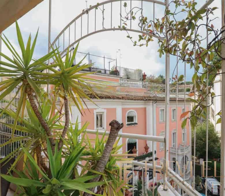 Lush green potted plant on a balcony overlooking traditional Italian buildings with pastel facades and ornate balconies in Rome.