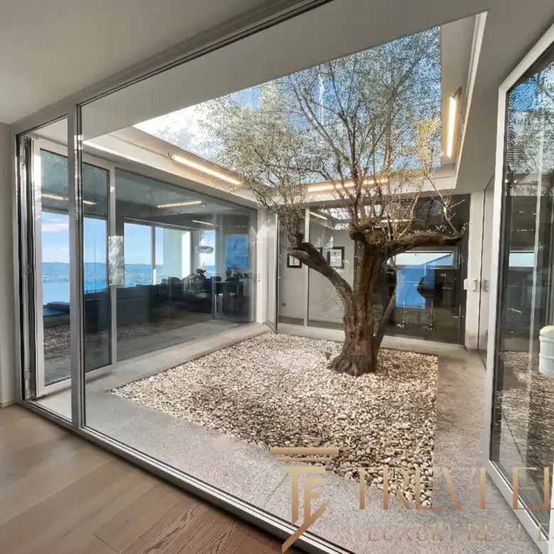 Glass-enclosed patio area with an ancient olive tree inside
