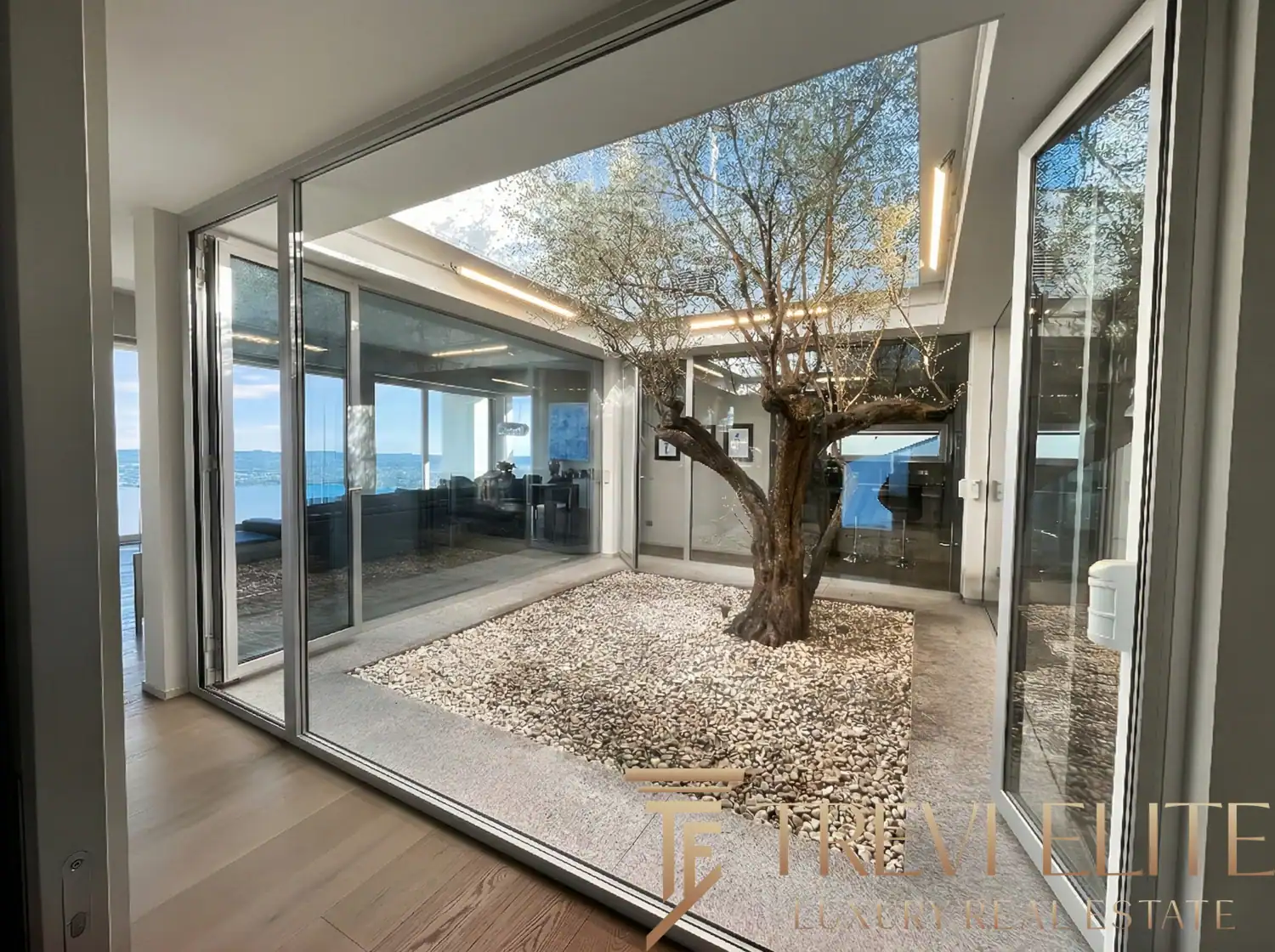 Glass-enclosed patio area with an ancient olive tree inside